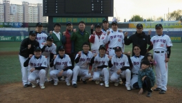 2011년 플레이오프 결승전
